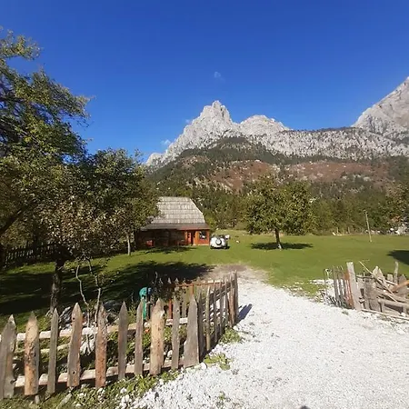 Hotel Guest Hause 1 *
